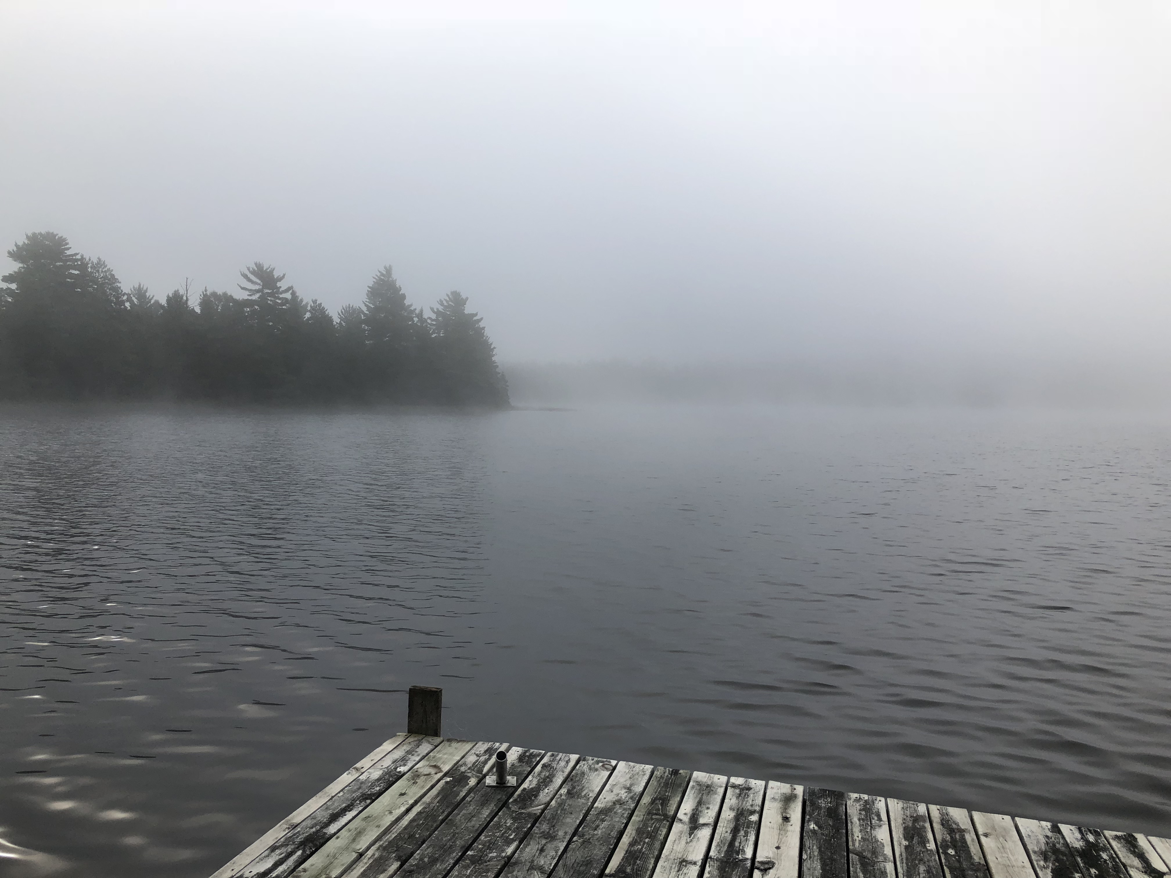 cabin dock misty lake